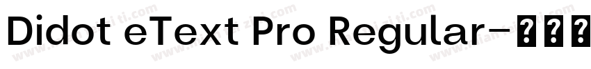 Didot eText Pro Regular字体转换